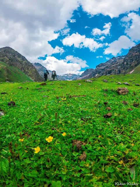 Dhanteras Thatch meadows Rupin Pass