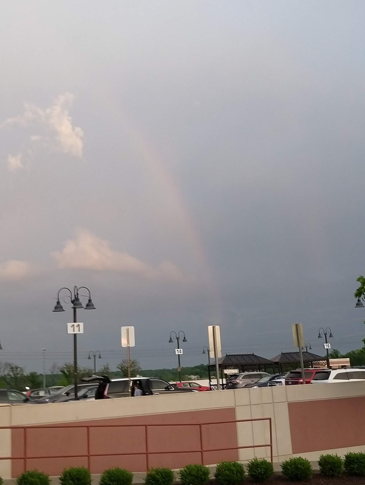 The More, The Messier Back To Nature