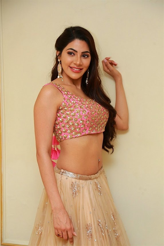 Nikki Tamboli hot navel pics