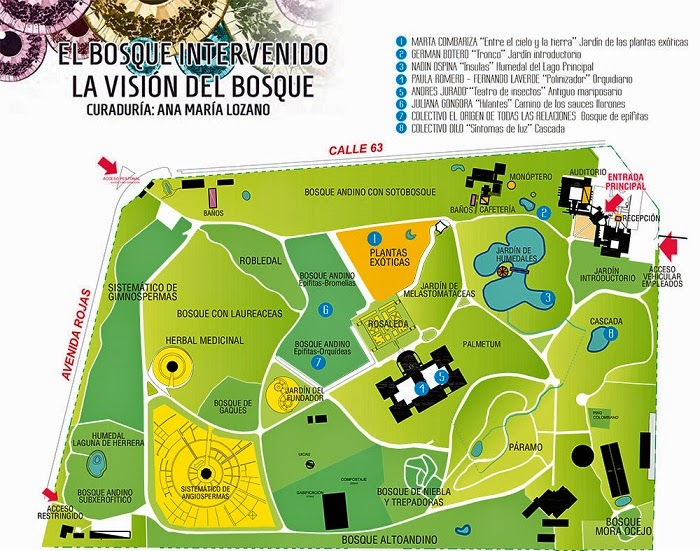 EL BOSQUE INTERVENIDO, LA VISÓN DEL BOSQUE en el JARDÍN BOTÁNICO Zona