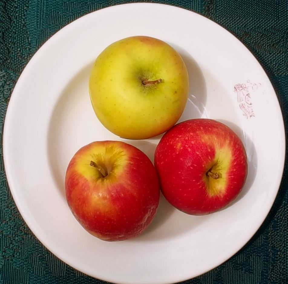 The Reflective Gardener Old Apples