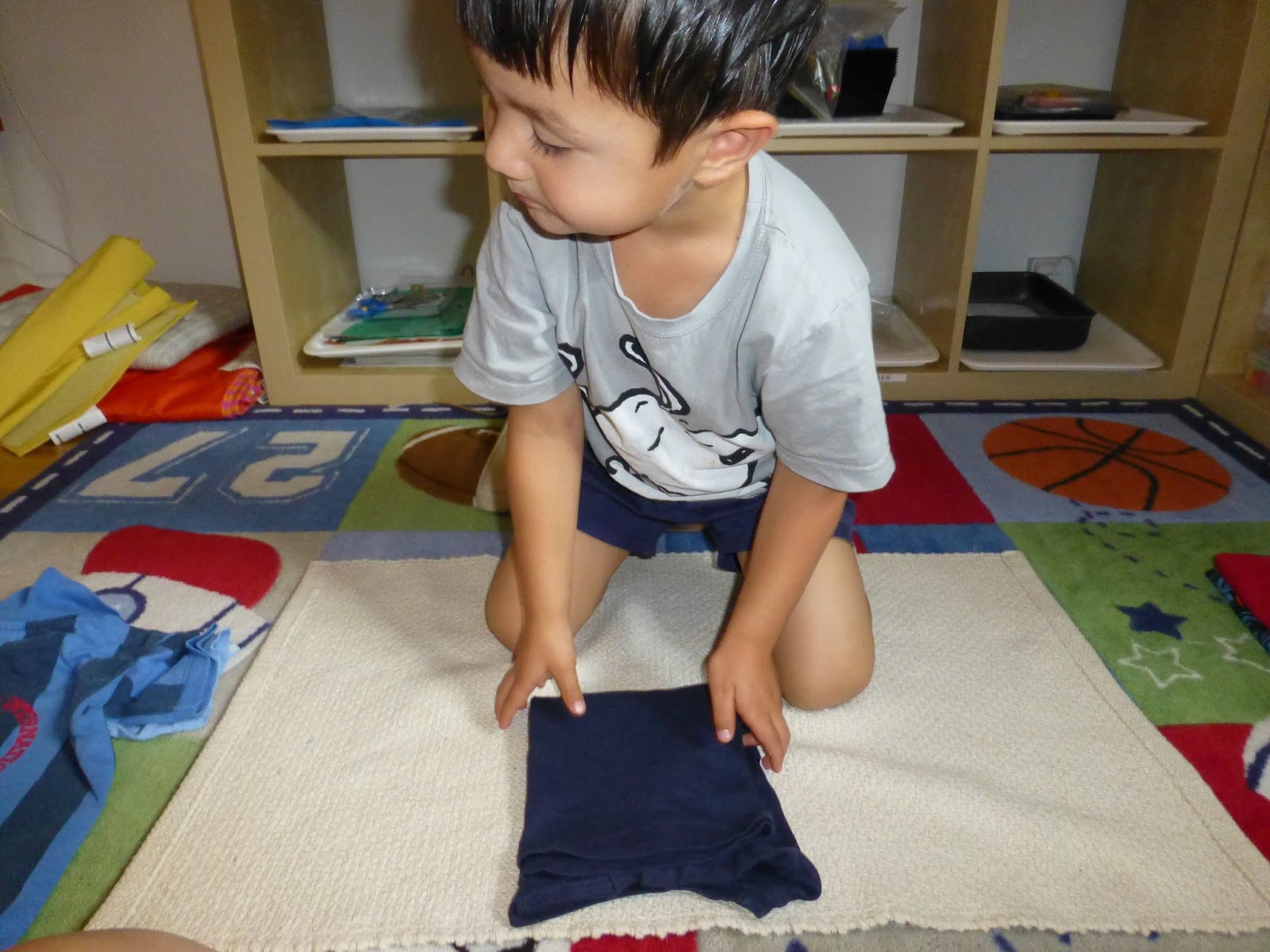 Family FECS Montessori Activity Folding Clothes