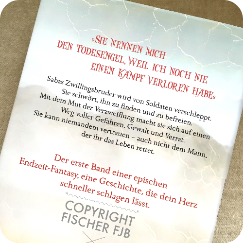 Buchsichten November 2017