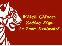 Which Chinese Zodiac Sign Is Your Soulmate?