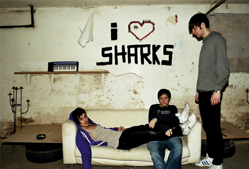 sharks.gif