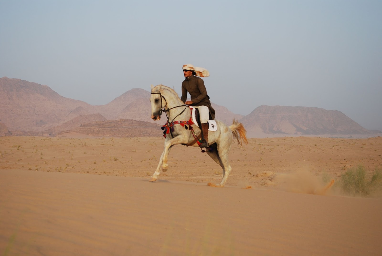 пустыня всадников