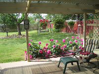Margie's Musings: 4/22/12 - 4/29/12