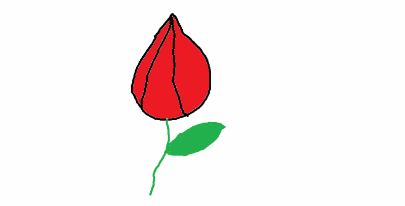 Gambar Bunga Mekar Gif - GAMBAR BUNGA