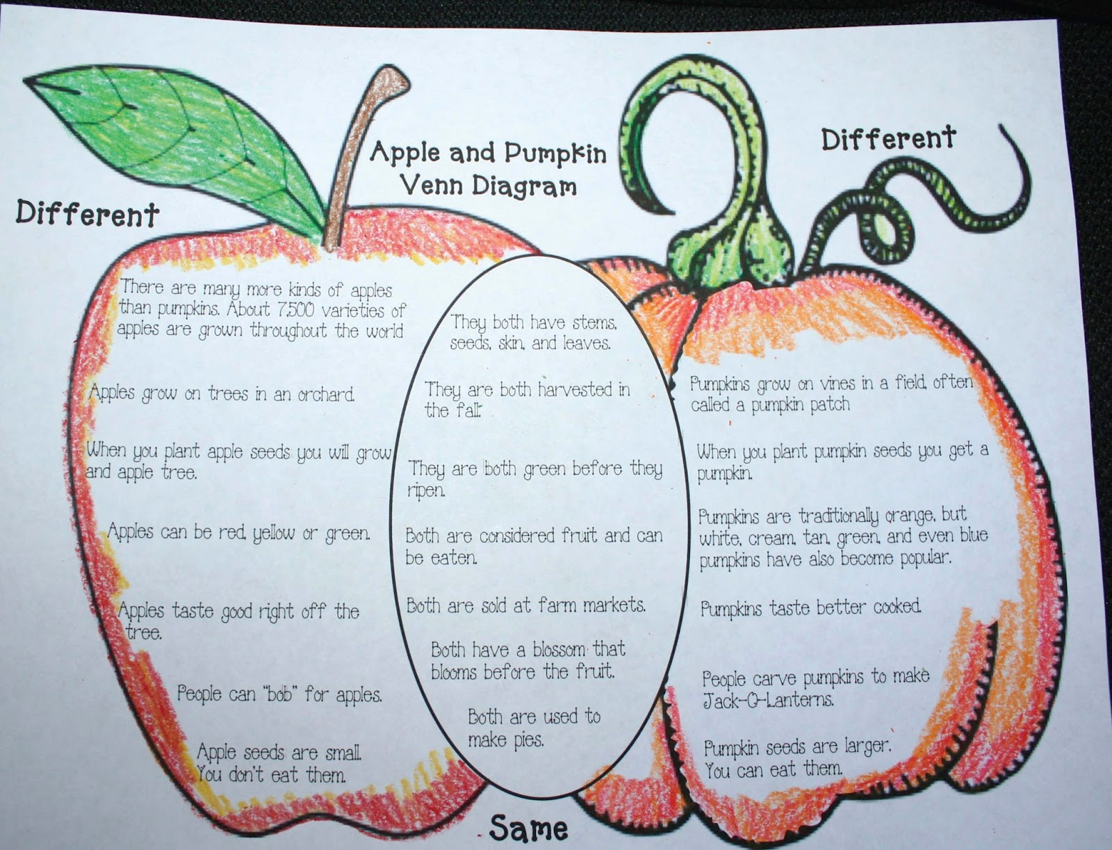 Funny compare and contrast essay topics