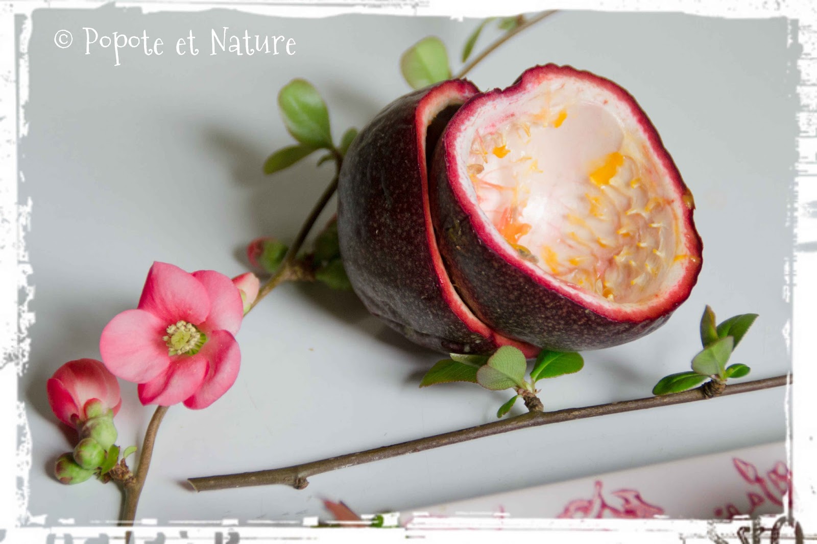 Popote et Nature Idée de café gourmand aux parfums du chocolat, de la