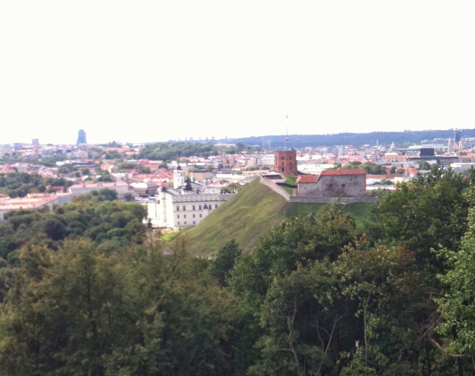 The view of Gedimino Tower from Above