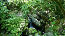 Le Pelion et ses nombreux ruisseaux