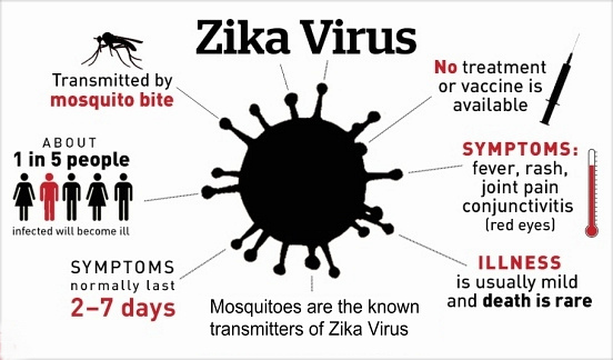 Zika Virus Factsheet
