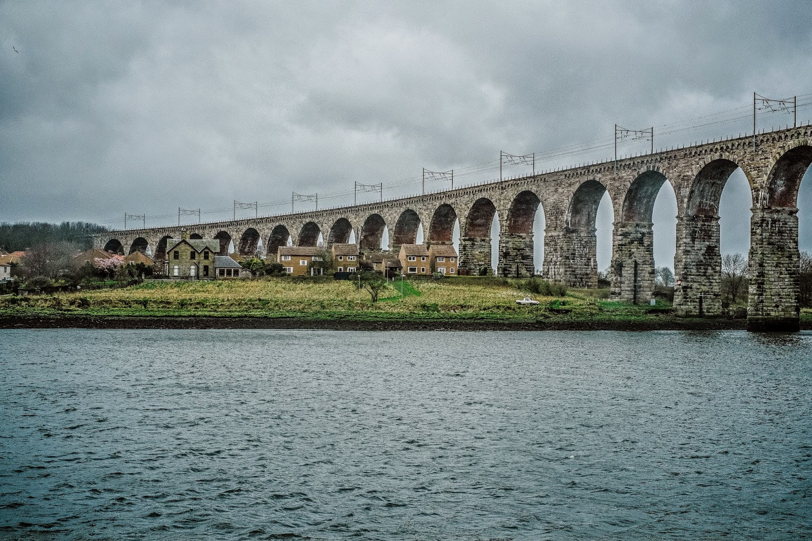 5 Places to go and things to do on a dog friendly holiday to Berwick