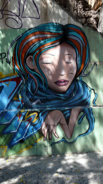 street art santiago de chile barrio yungay arte callejero