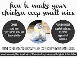 chicken coop smell nice give person goes crazy shot want