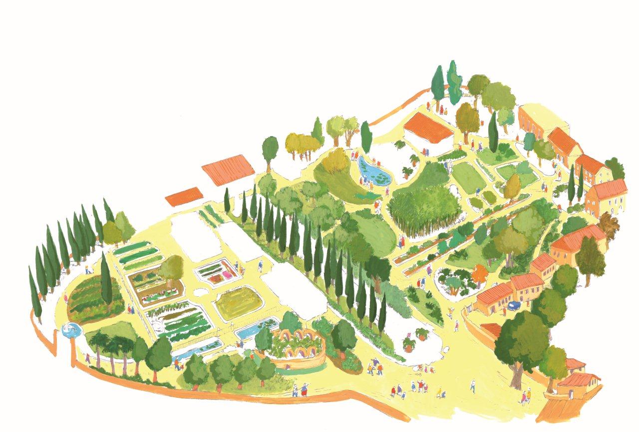 Le Petit Guide De Montpellier Le Jardin Des Plantes