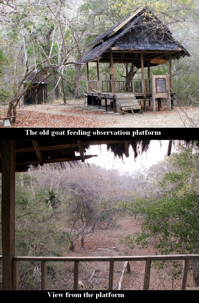 Rigor Vitae Life Unyielding March 17