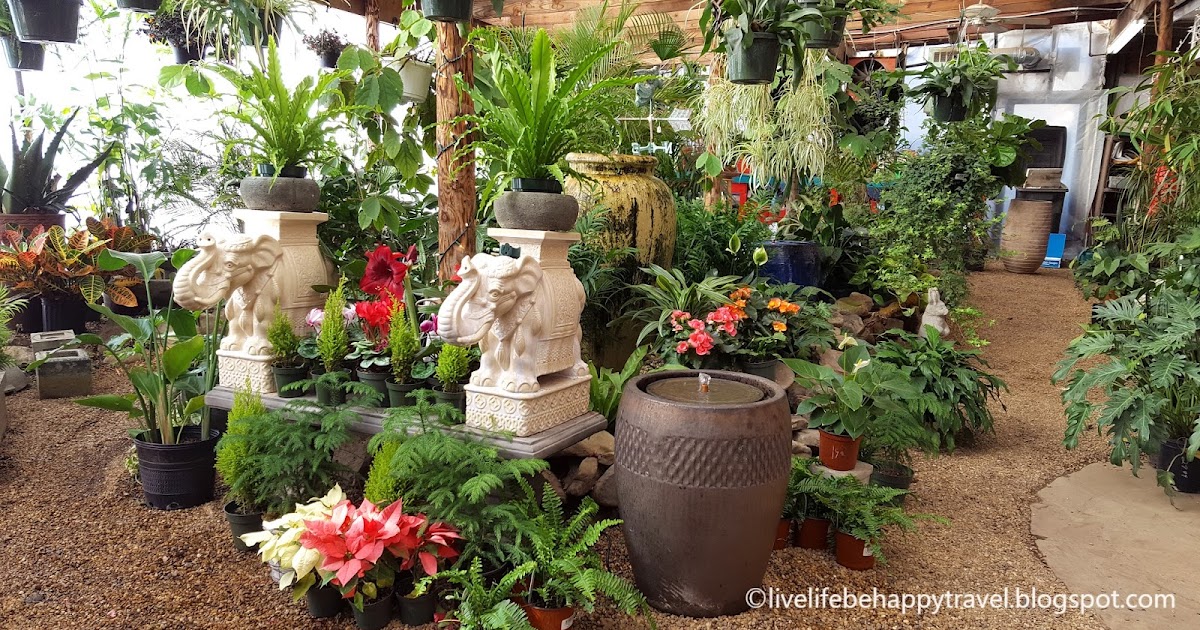 Live Life Be Happy Tropical Plants and Salt Water Fish Live Life Be Happy Tropical Plants and Salt Water Fish