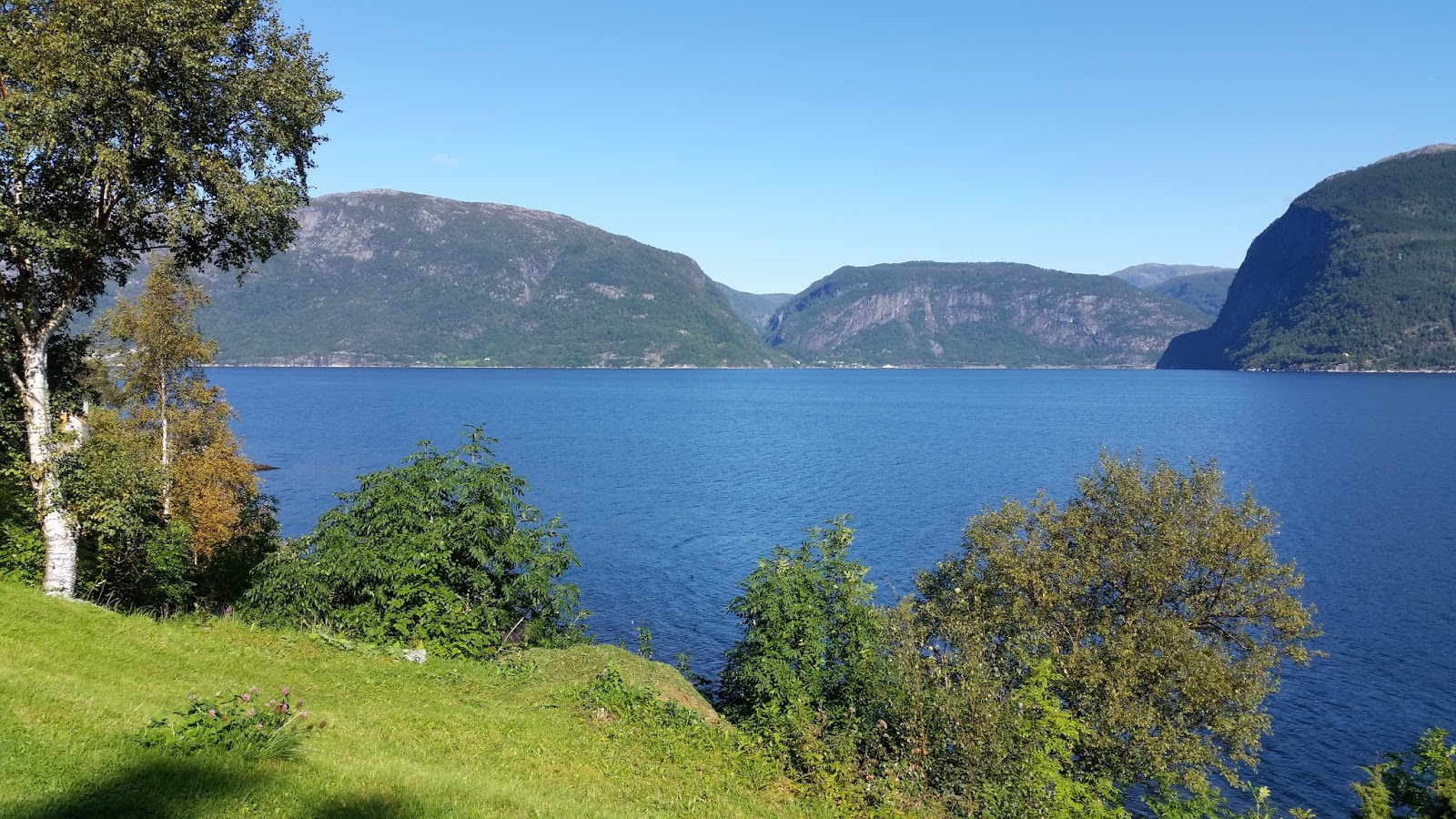 Der Bananensprayer Thomas Baumgartel Markiert Galerien Und