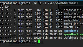 Cara Membuat Server Speedtest Dengan Menggunakan Speedtest-mini
