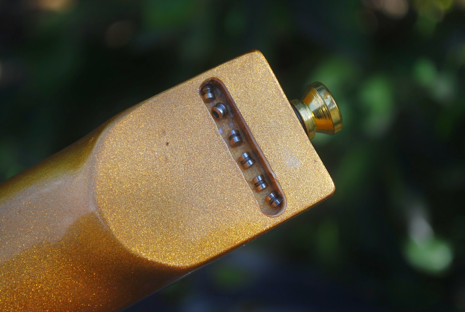 Rex and the Bass: Shredneck Practice Guitar Neck Review