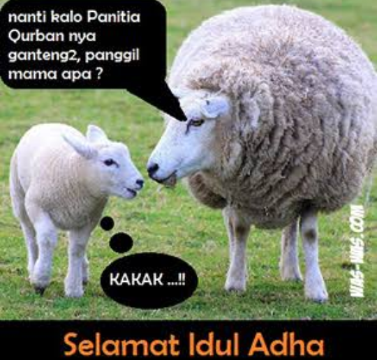 Meme Hewan Lucu - Russell Whitaker