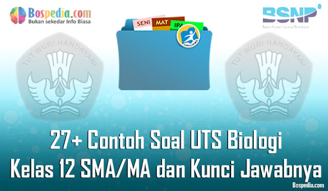 27+ Contoh Soal UTS Biologi Kelas 12 SMA/MA dan Kunci Jawabnya Terbaru