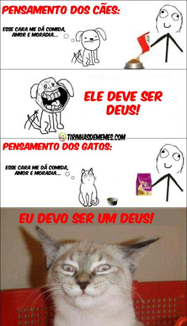 Pensamento dos cães x pensamentos dos gatos tirinha