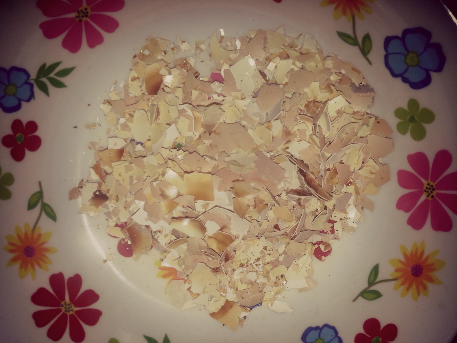 Edgington Farm Crush Eggshells for Your Chickens