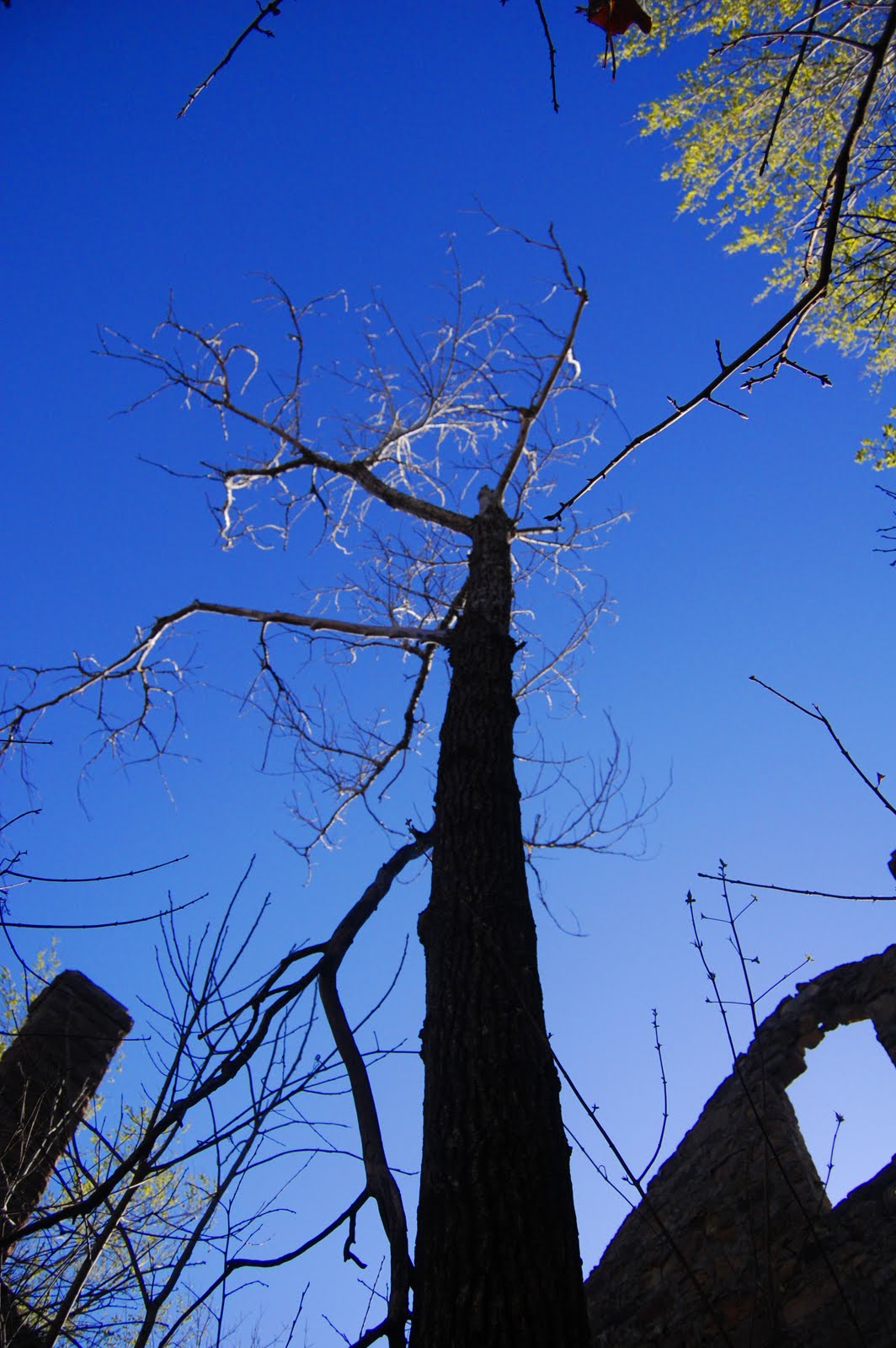 Steven R. Stewart Labadie Mansion