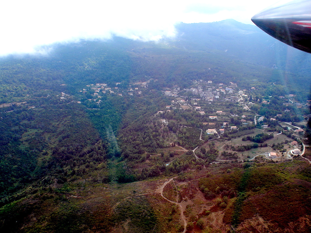 VOCE DI RUTALI... è d'altrò Rutali, évolution.