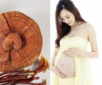 [Image: n%25E1%25BA%25A5m%2Blinh%2Bchi%2Bc%25C3%...%25A0o.jpg]