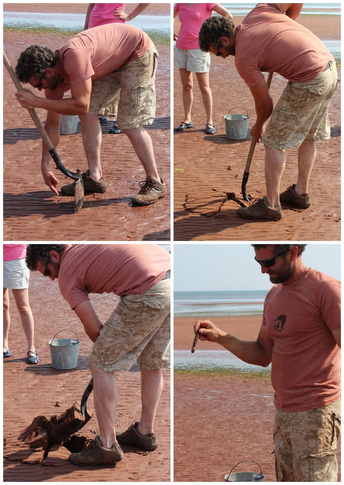 Digging for Clams in Prince Edward Island