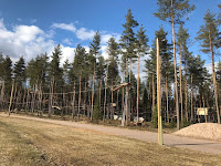 Uusi köysiseikkailupuisto avattiin Helsingin Paloheinään 2 Uusi köysiseikkailupuisto avattiin Helsingin Paloheinään 1