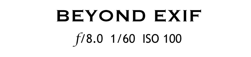 Beyond Exif