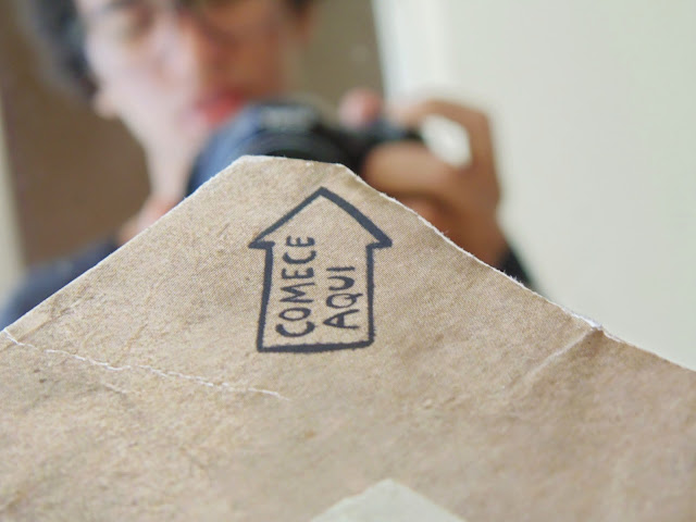 Destrua Este Diário Keri Smith