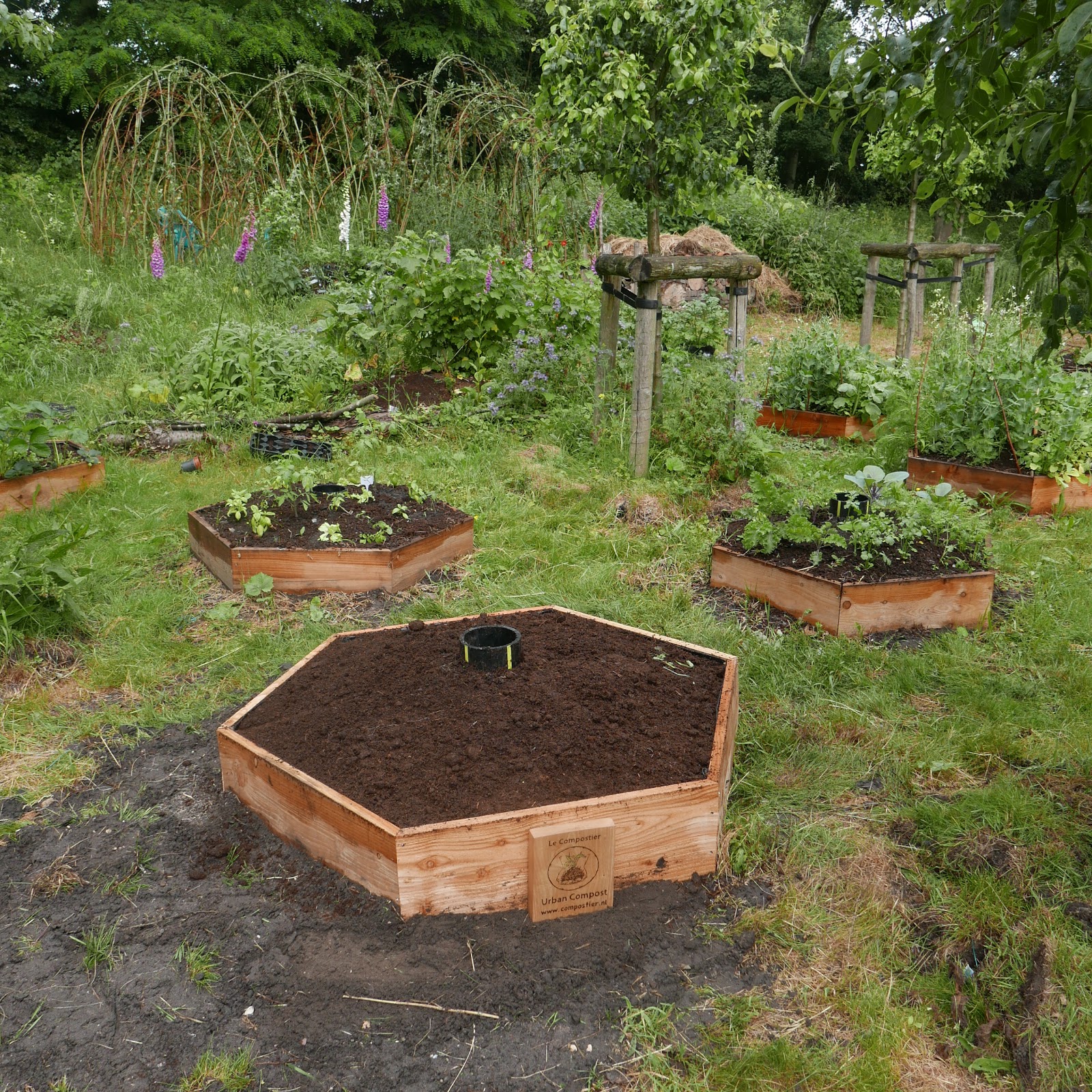 Le Compostier Back To Eden Gardening In A Honeycomb Gardenbox