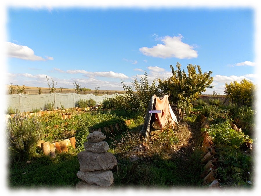 detectar energias teluricas radiestesia zonas geopatogenas