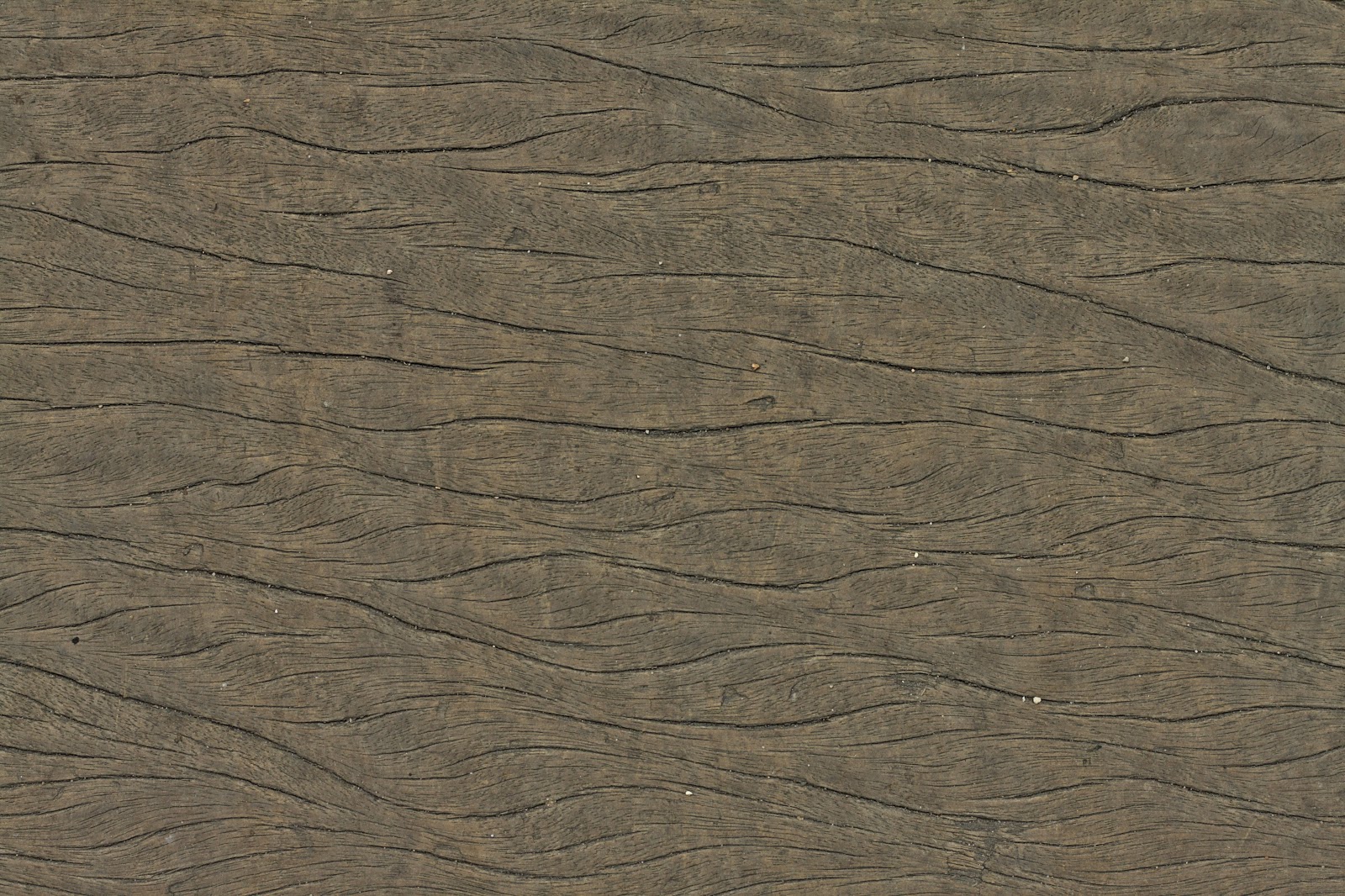 Wood dry cracked bench plank tree bark texture ver 9
