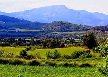 Vall del Comtat, entre Benifallim, Penàguila i Benilloba.