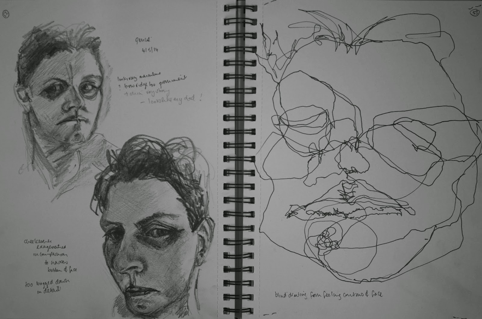 Aylish's OCA Learning Log: Project: Self Portrait. Exercise: Drawing ...