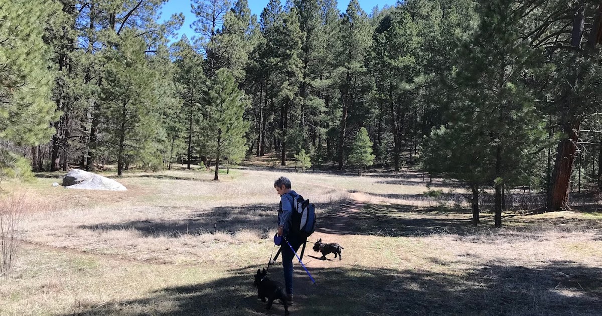 Southern New Mexico Explorer Winsor Trail (FT 254), Chamisa Trail ( FT