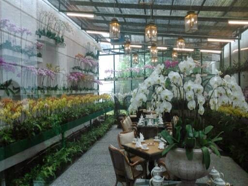 Orchid Tea Room - The Majestic Hotel - KL Malaysia