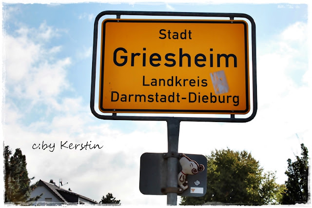 Bienenelfen August 2016