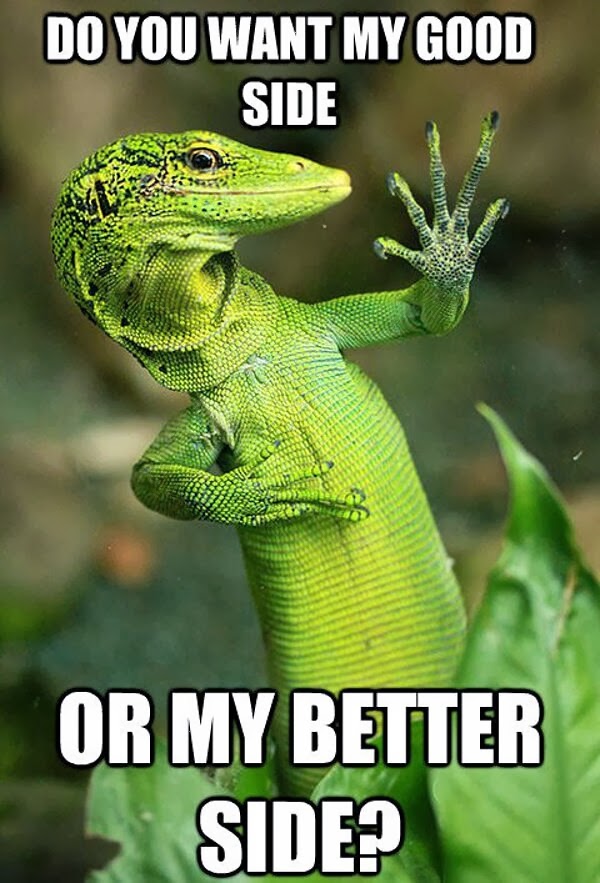 30 Funny animal captions - part 19 (30 pics), funny lizard picture with funny captions, do you want my good side or better side