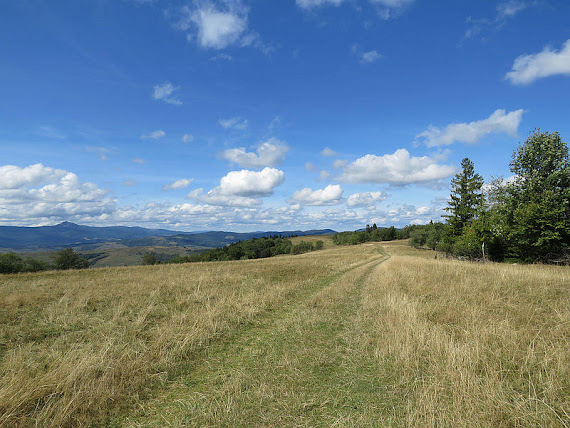 Panorama w stronę grzbietu Pikuja.