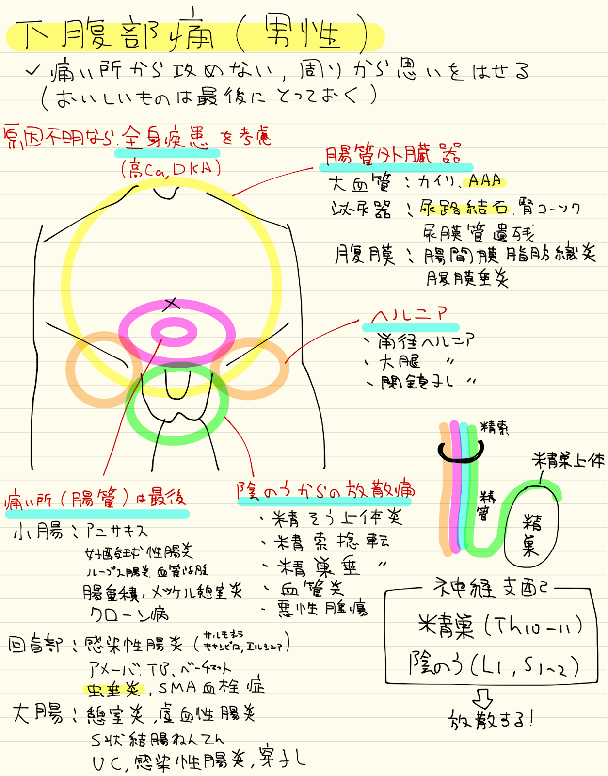 腹部 痛み 左下