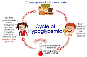 Cycle of hypoglycemia