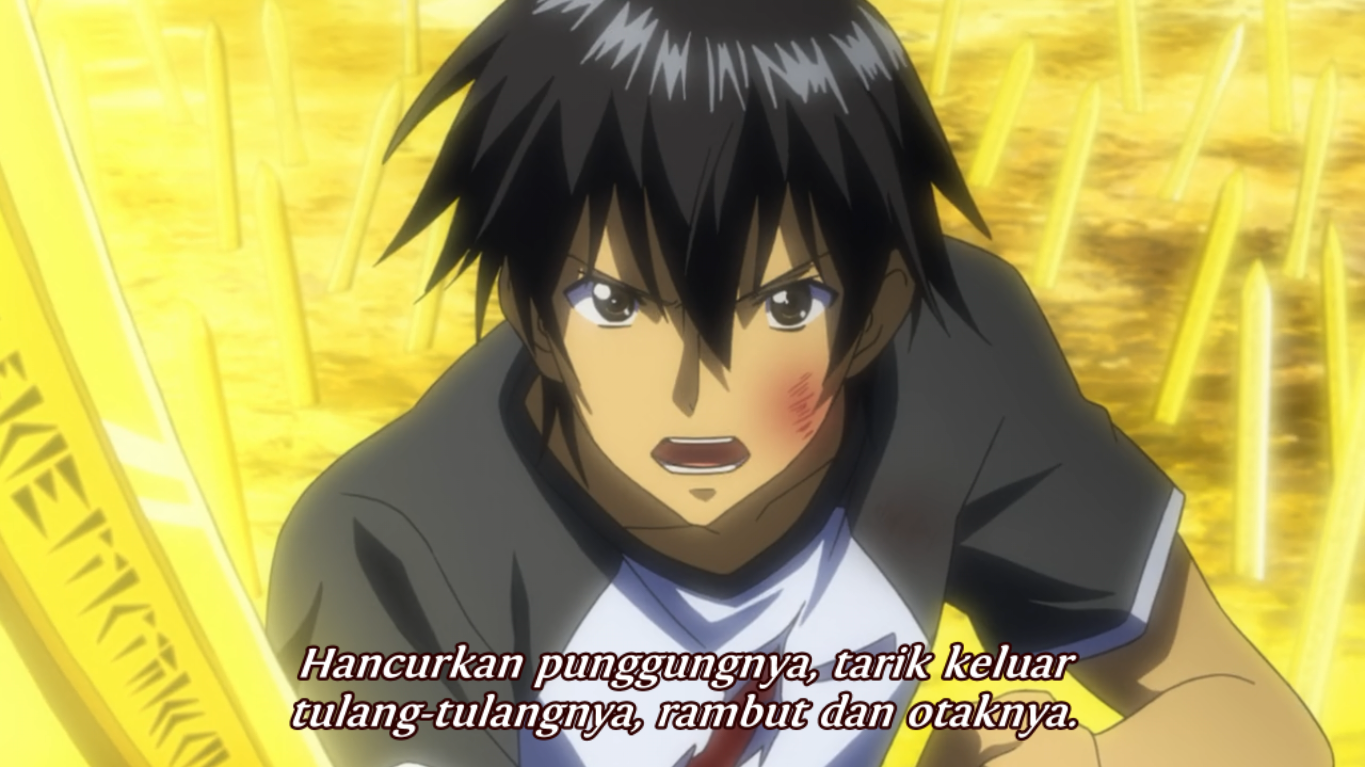 кампионе годо кусанаги. аниме чемпион афина. кусанаги годо. Campione! годо кусанаги. кампионе ланселот.